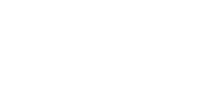 MetaData